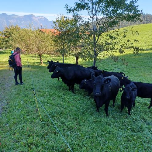 Herbstwandertag 2021