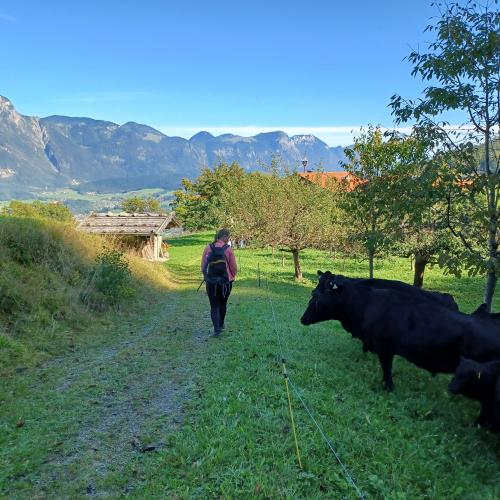 Herbstwandertag 2021