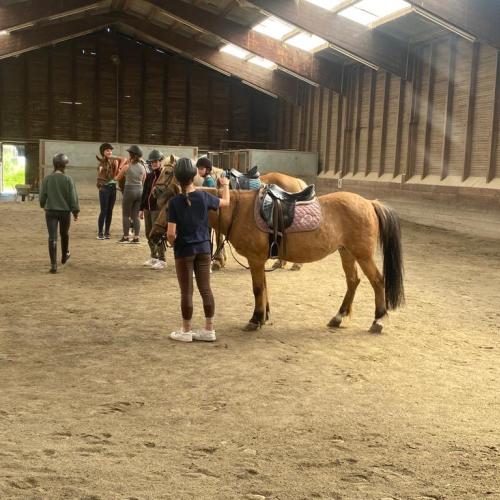 Reiten05