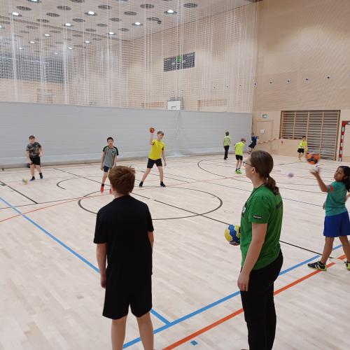 Schulsportservice Handball