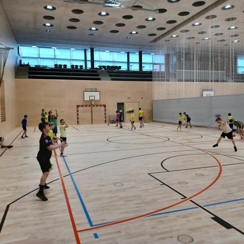 Schulsportservice Handball