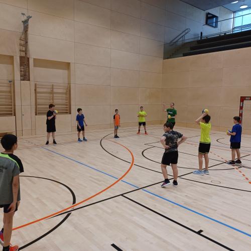 Schulsportservice Handball