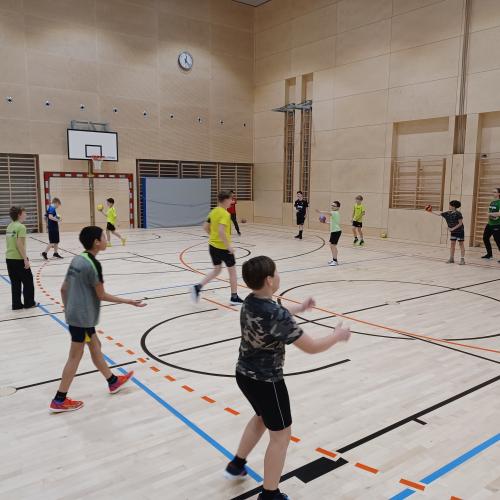Schulsportservice Handball