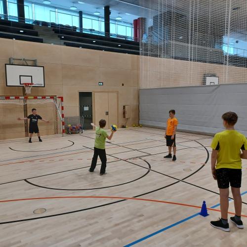 Schulsportservice Handball