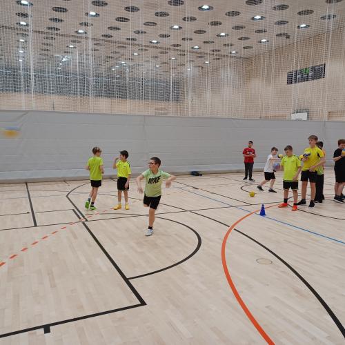 Schulsportservice Handball
