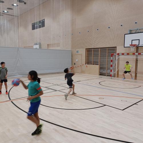 Schulsportservice Handball