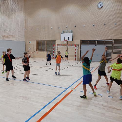 Schulsportservice Handball