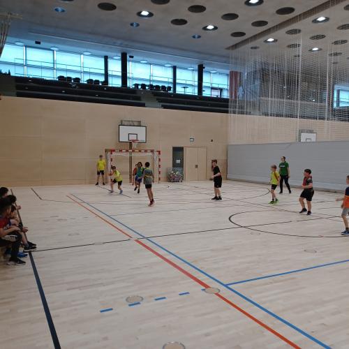 Schulsportservice Handball
