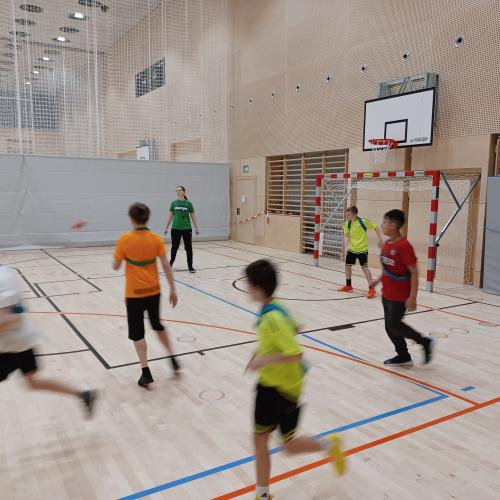 Schulsportservice Handball