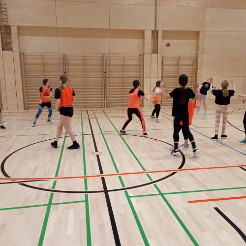 Schulsportservice Handball