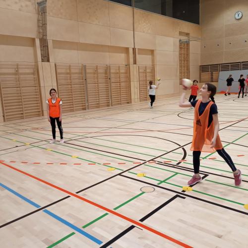 Schulsportservice Handball