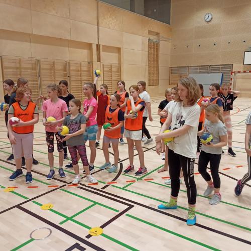 Schulsportservice Handball