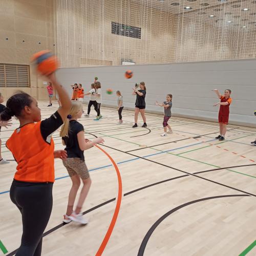 Schulsportservice Handball