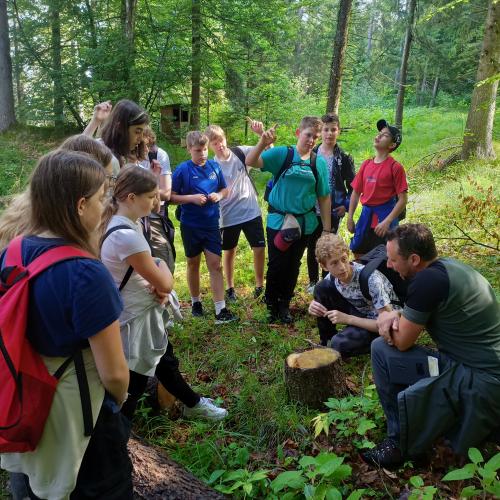 Waldtag