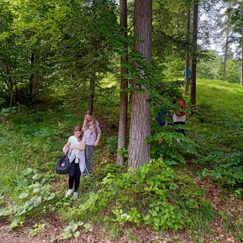 Waldtag