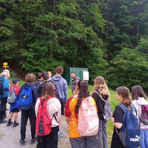 Waldtag