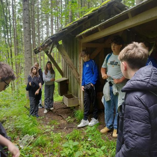 Waldtag