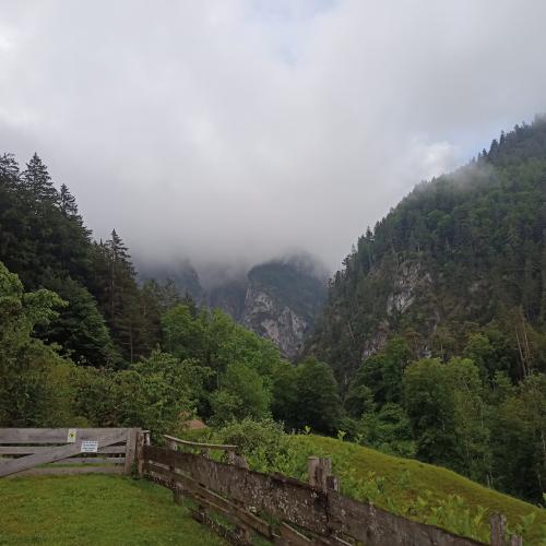 Waldtag