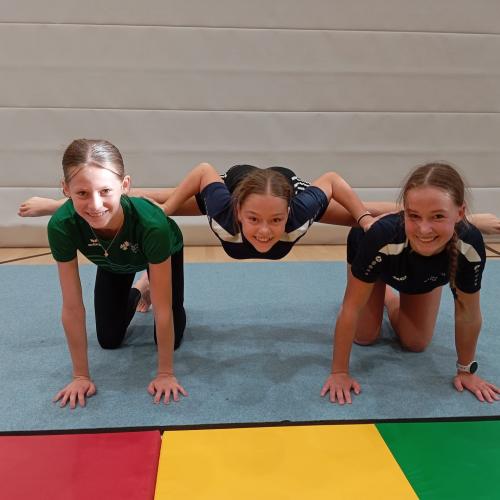 Aerobic