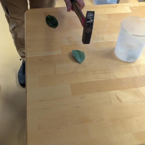 flüssiger Stickstoff