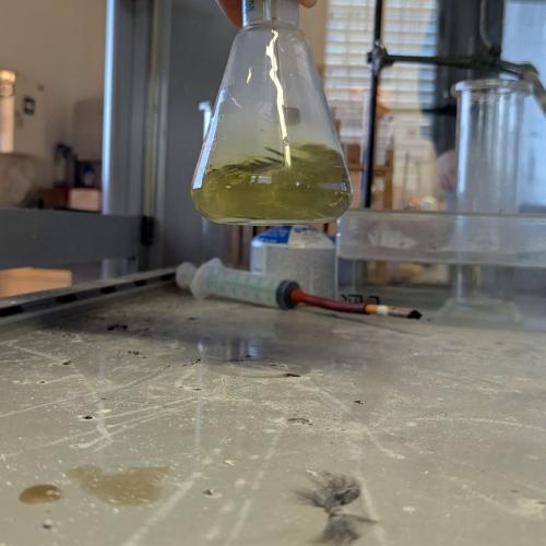 Inversionswetterlage