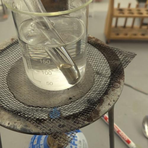 Silberspiegel und Bismuth