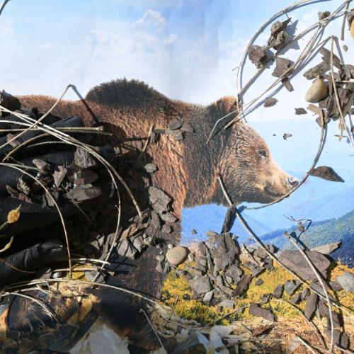 Fotografie trifft Malerei