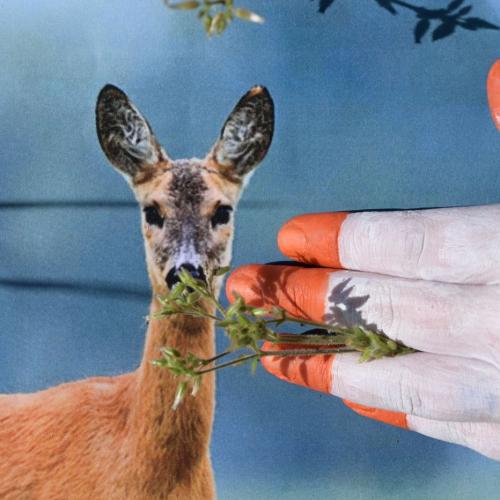 Fotografie trifft Malerei