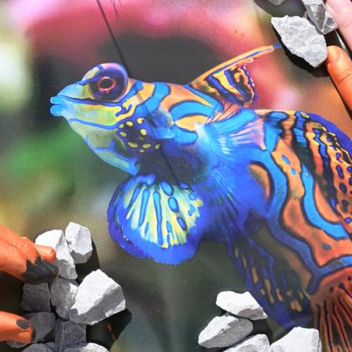 Fotografie trifft Malerei