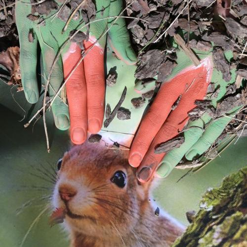 Fotografie trifft Malerei