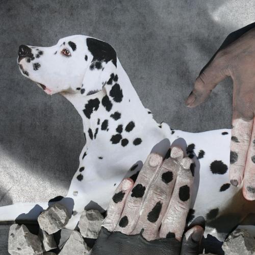 Fotografie trifft Malerei