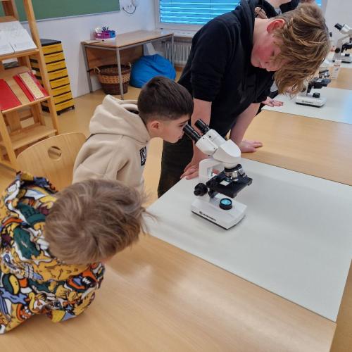 Tag der offenen Tür