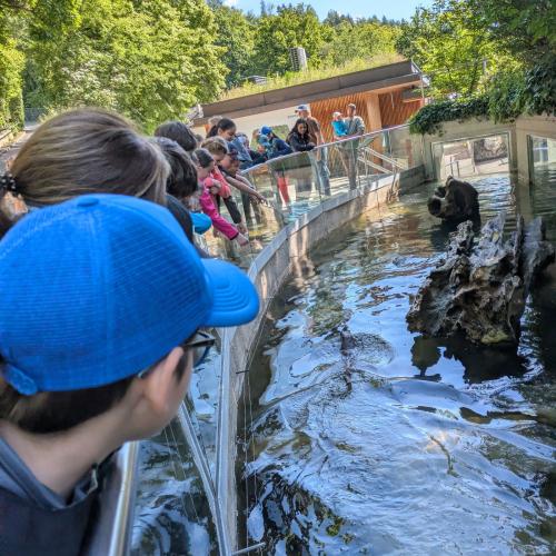 Alpenzoo 2026