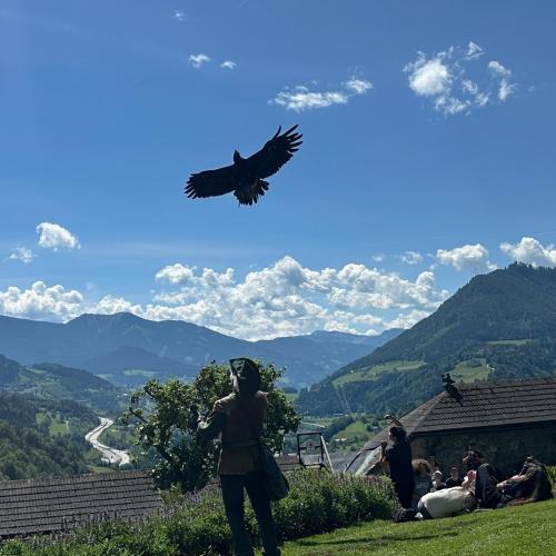 Greifvogelschau