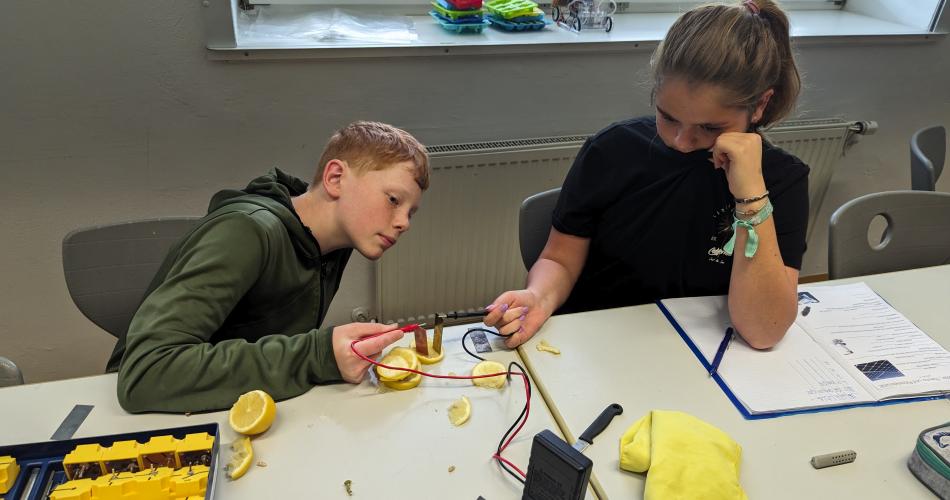 Zitronenbatterie